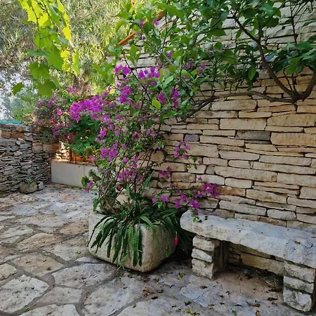 Tatil Evi House Darin Dvor Vela Luka