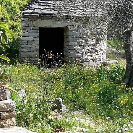 Tatil Evi House Darin Dvor *