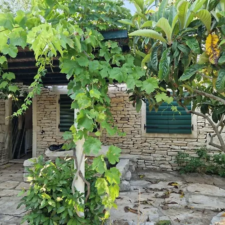 House Darin Dvor Tatil Evi Vela Luka
