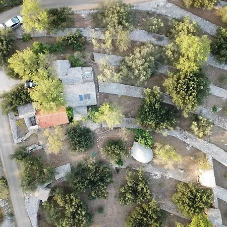 House Darin Dvor